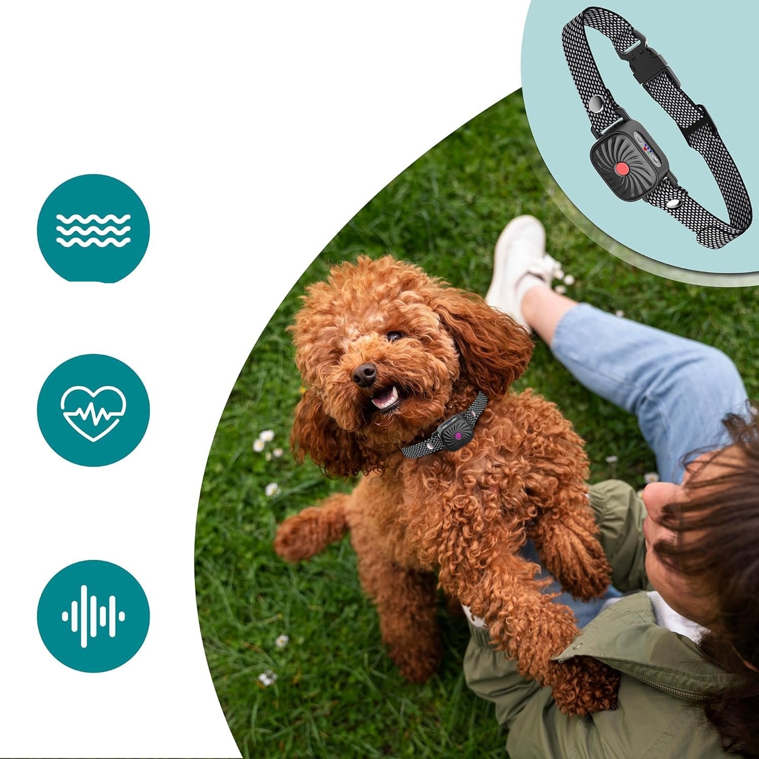 SilentPal Collar – An adjustable, humane anti-bark collar for dogs. 2