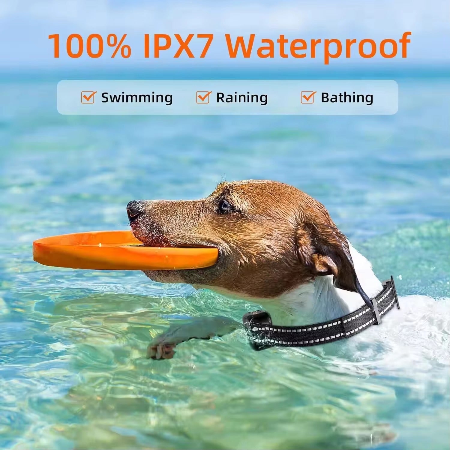 Electric Dog Training Collar with Remote Control, Waterproof, 16 Adjustable Shock Levels, 1000m Range, Beep & Vibration Modes